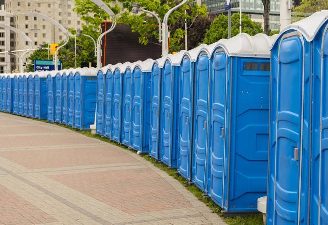 portable restrooms with sink and hand sanitizer stations, available at a festival in Chadwick